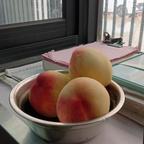 WYZS鄧头像