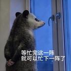 什么莫名其妙的名字头像