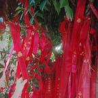 用户名40771501头像