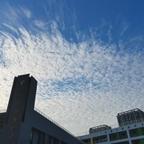川儿333头像