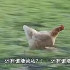 我有病，我骄傲了吗头像