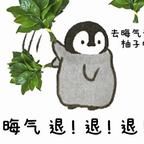 飞天南达九头像