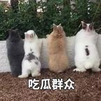 梦醒不如初头像