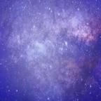 雪夜狼2025头像