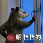 四海八荒女帝苏菲娅~头像