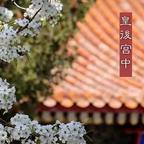 红GUO飘香头像