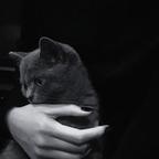 小王旺旺💕𓂃₊⋆头像