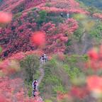 🌈莫咯拉头像
