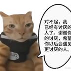 我在群岛上不回去了头像