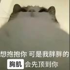 3s追剧人头像