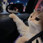 暗夜集团头像