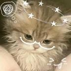 哒哒头像