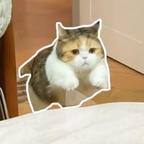 喜郎头像