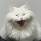 123456789头像