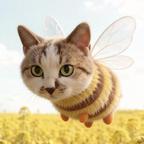 爱吃猫的鱼头像