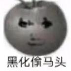 点评龟编剧的绿龟一生头像
