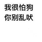 哪都有神人头像
