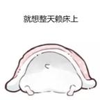 LIGHT先生头像