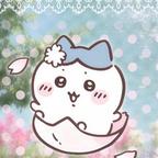 cici头像