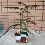 一切随缘头像