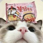 尘埃头像