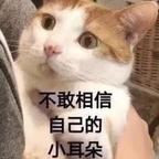 西红柿炒番茄头像