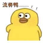 张先生头像