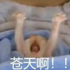 念心头像