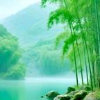 温阳向日葵花海头像