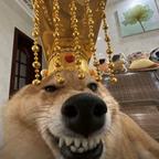 南昌凉拌粉头像