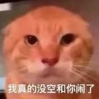 无敌暴龙兽头像