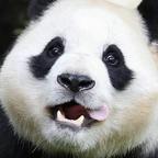 啦啦啦🥰头像