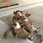 屁屁大王哎呦喂头像