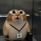 路人甲头像