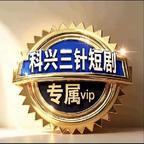 飞过彩虹的鸟头像
