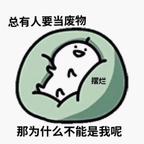 皮皮熊头像