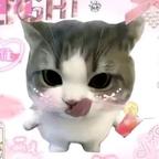 婉念🌸头像