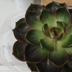 时间里的时光头像