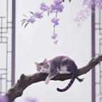 亦君99头像