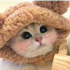 ～穆笙～头像