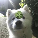 王一意头像