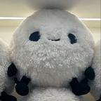 隔壁小e头像