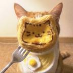 茉莉雨.头像