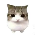 妙脆角头像
