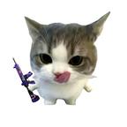 猫猫小弟头像
