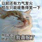 此刻12321头像