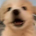 咖啡茶拿铁头像