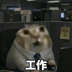E头像
