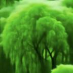 孟☞凡晶头像