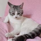 奇幻生活的M78星云头像